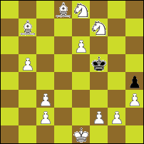 Шахматная задача №89871