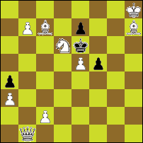 Шахматная задача №89961
