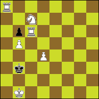 Шахматная задача №89991