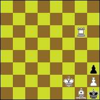 Шахматная задача №91059
