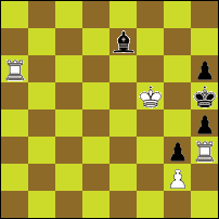 Шахматная задача №91454