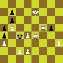 Шахматная задача №91460