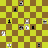 Шахматная задача №91578