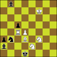 Шахматная задача №91581