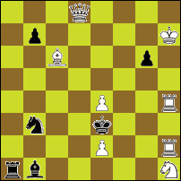 Шахматная задача №91960