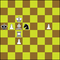 Шахматная задача №92022