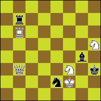 Шахматная задача №92819