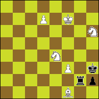 Шахматная задача №92896