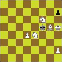 Шахматная задача №93001