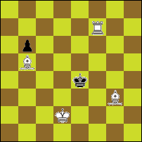 Шахматная задача №93006