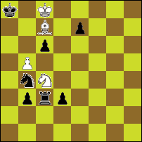 Шахматная задача №93517